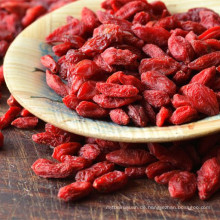 Zertifizierte organische AD trocknende Wolfberry Fruit Mispel Goji